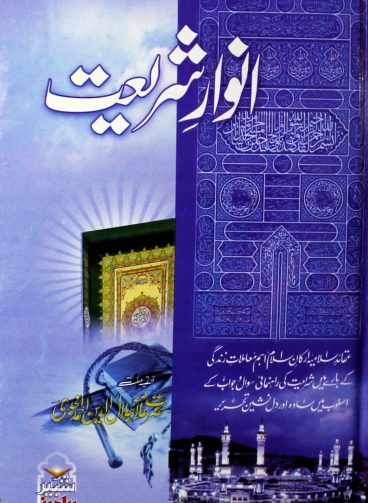 IMG_20260209_191229 IMG_20260209_191229