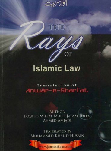 IMG_20260209_191425 IMG_20260209_191425